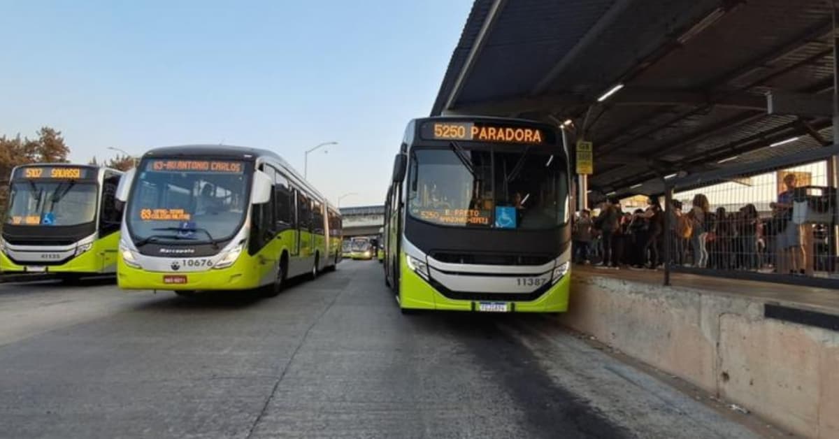 Entenda como é definida a numeração das linhas de ônibus que circulam em BH