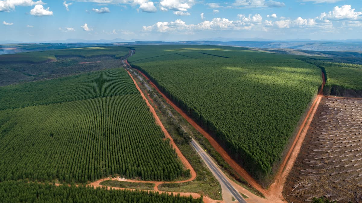 Novo marco do licenciamento ambiental: devastação sem controle