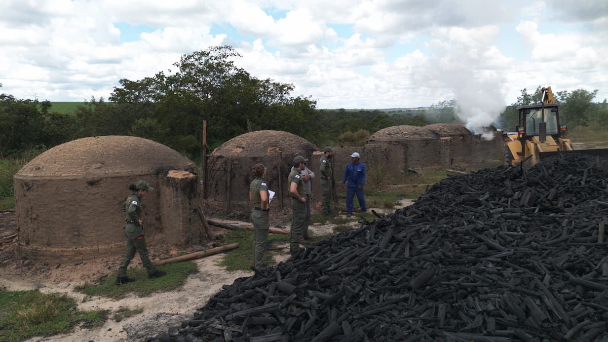 Minas Gerais amplia transparência com novo relatório de fiscalização ambiental moderno e interativo