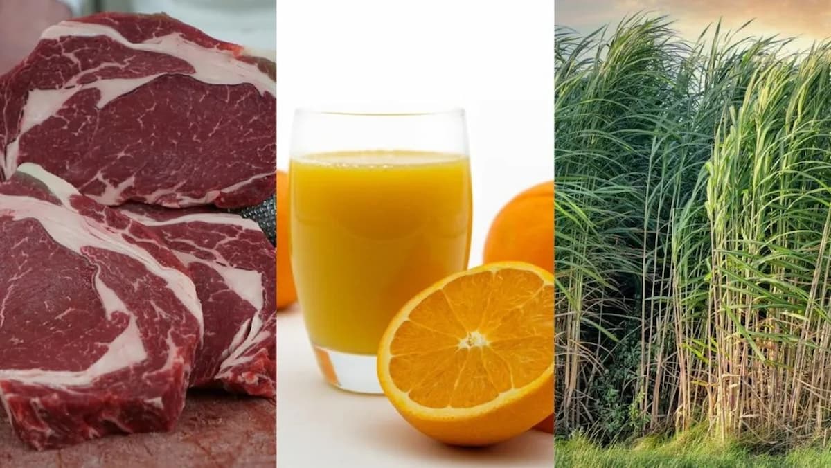 Governo procura por outros mercados para redirecionar produtos agrícolas após tarifaço