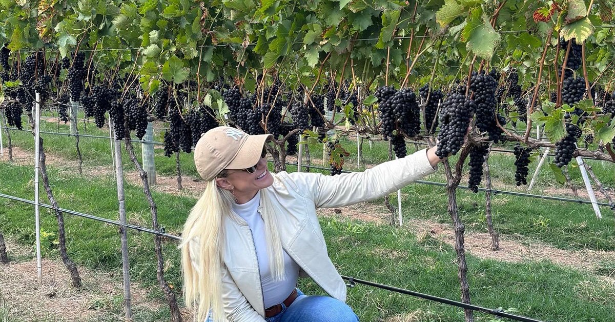 Vinhos de inverno da safra 2025 terão qualidade excepcional; Minas se destaca na produção
