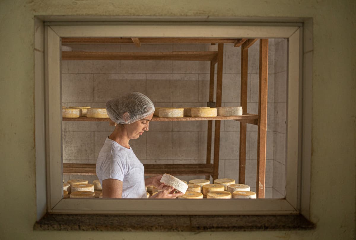BH recebe primeira edição do projeto ‘De Pão & Queijo’ no Parque do Palácio em agosto