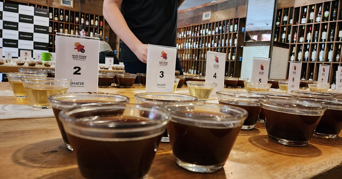 Concurso de Qualidade dos Cafés de Minas Gerais de 2025 tem inscrições abertas