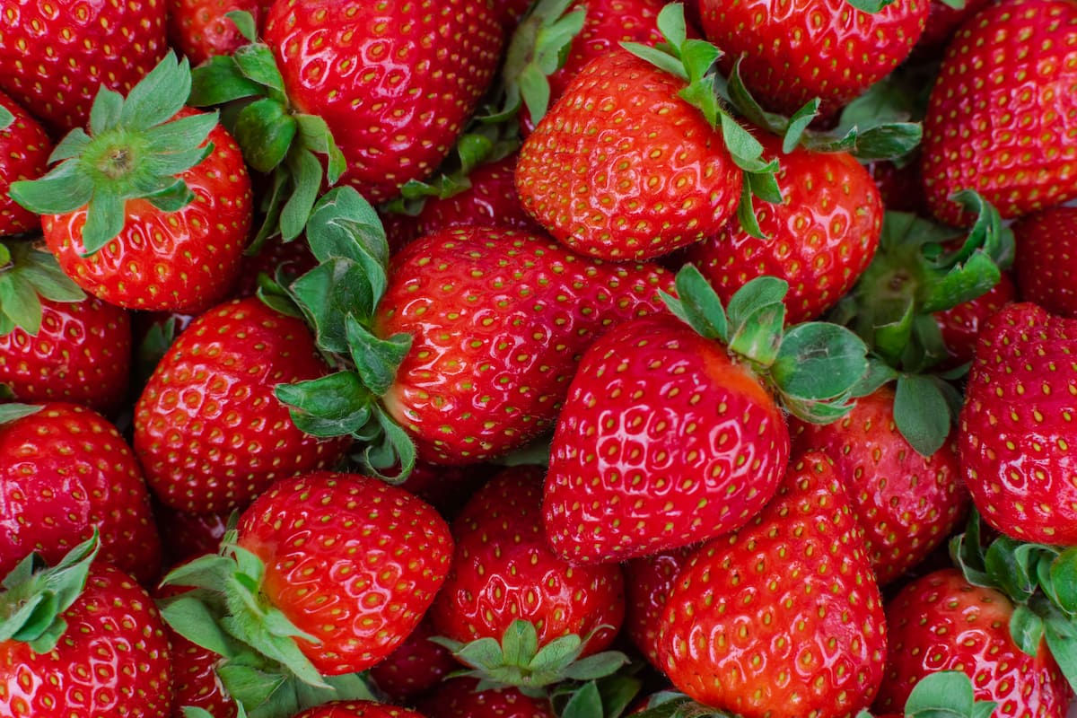‘Morango do Amor’: alta procura provoca escassez e encarecimento da fruta e do corante vermelho