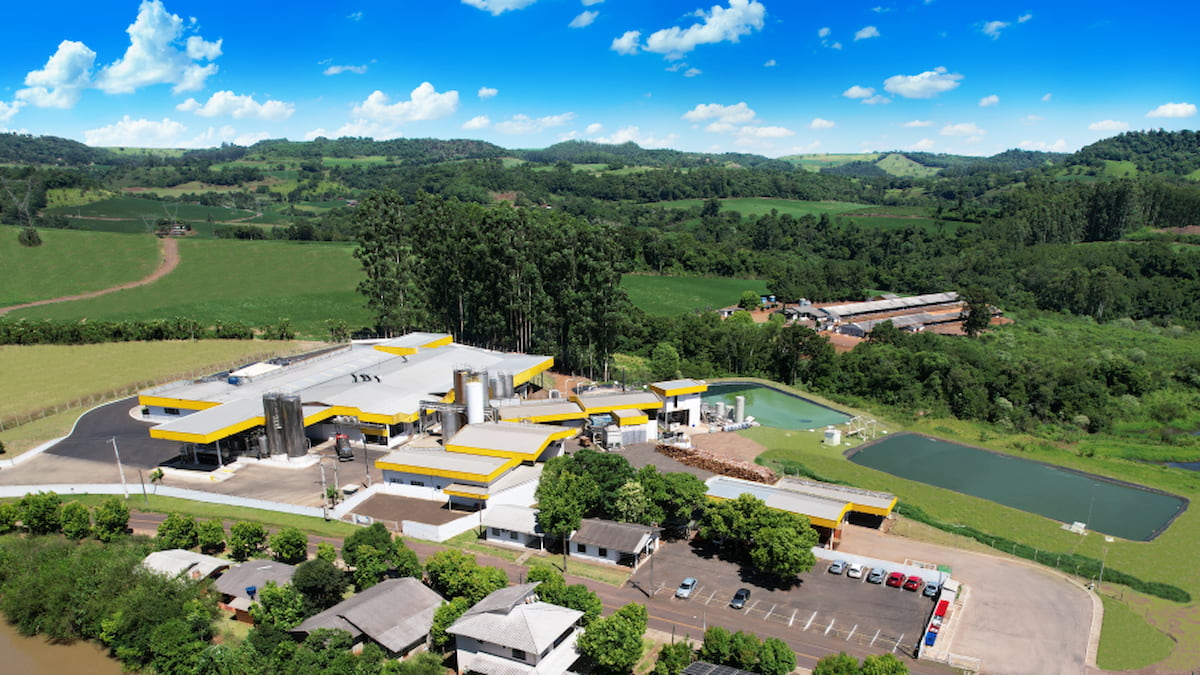 Produtores de leite parceiros da Piracanjuba podem antecipar recebíveis via WhatsApp em Minas