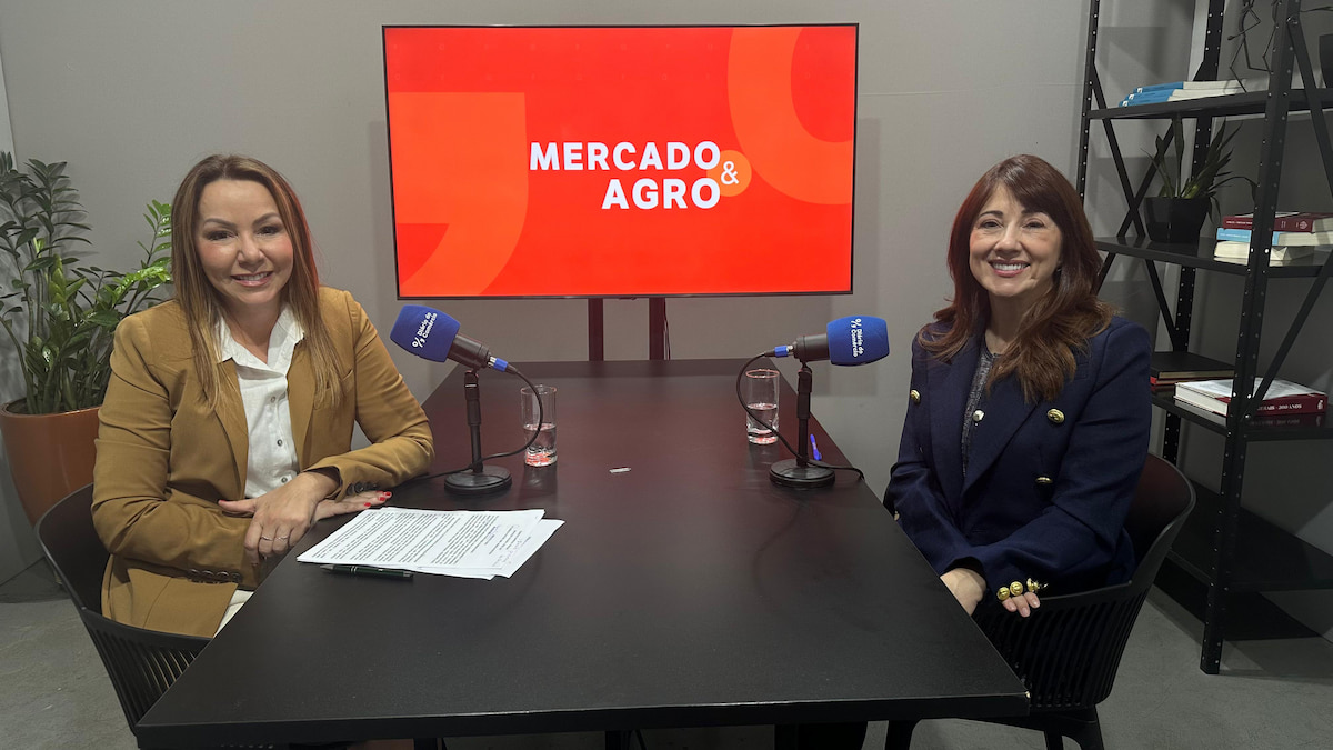 Florestas plantadas movem indústria e sustentabilidade em Minas