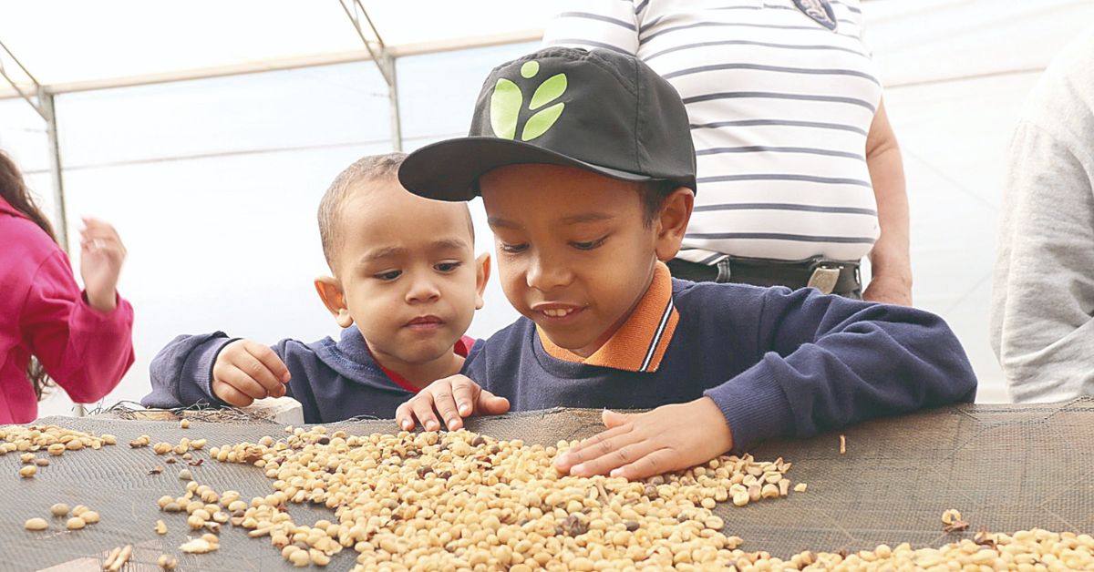 Fazenda Bioma Café lança programa para crianças conhecerem a produção