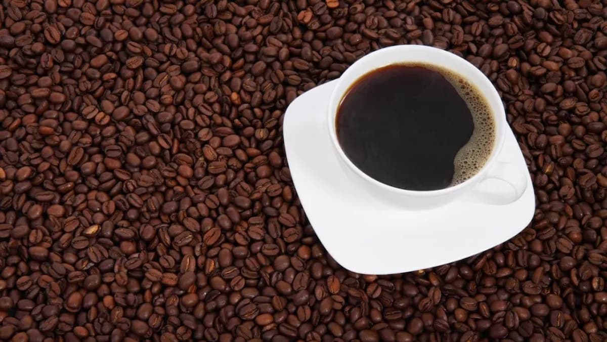 Café: setor pressiona por isenção e teme prejuízos com tarifa de 50% dos EUA