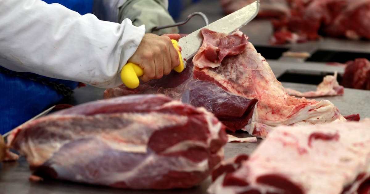 Exportação de carne bovina do Brasil caminha para primeira queda mensal em 18 meses