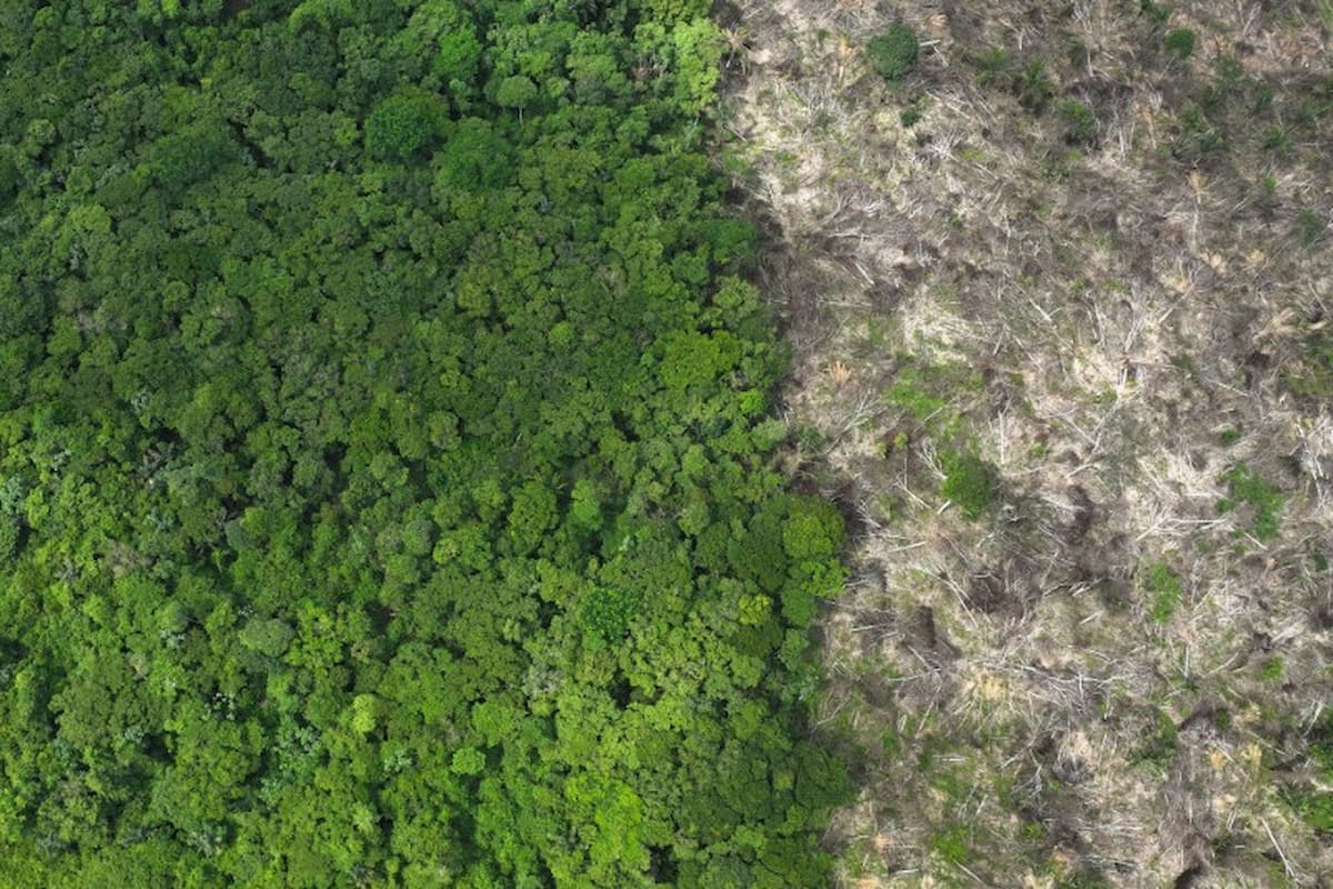 Lula veta 63 dispositivos da lei de licenciamento ambiental e envia novo projeto ao Congresso