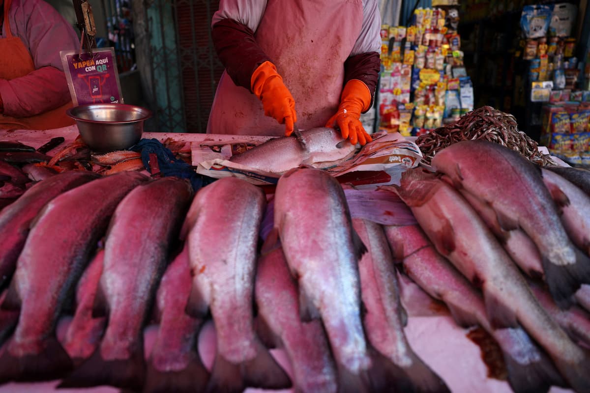 Governo simplifica compra pública de pescados, castanhas, manga, mel e outros alimentos após tarifaço