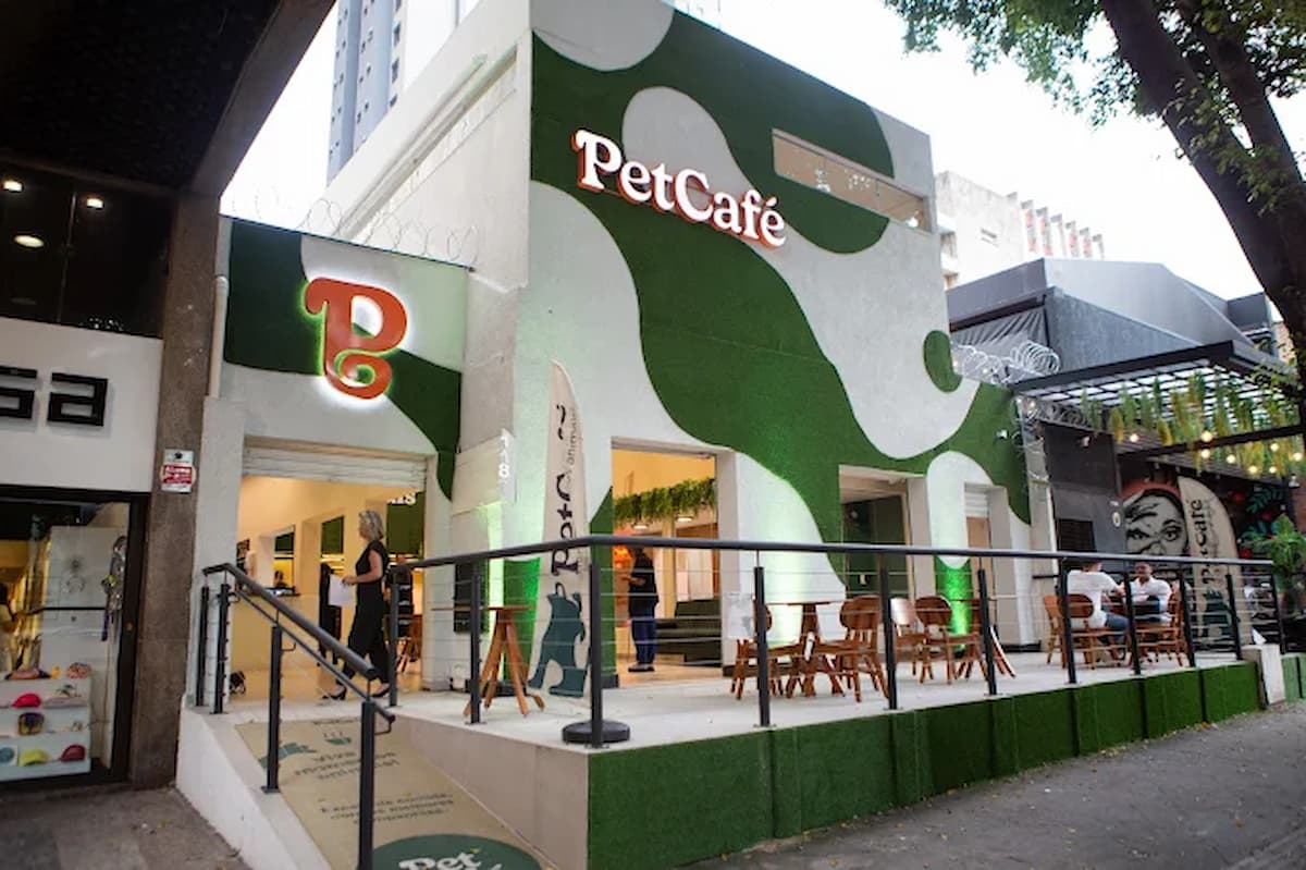 PetCafé promove evento que une música eletrônica, drinks e adoção de gatos em BH