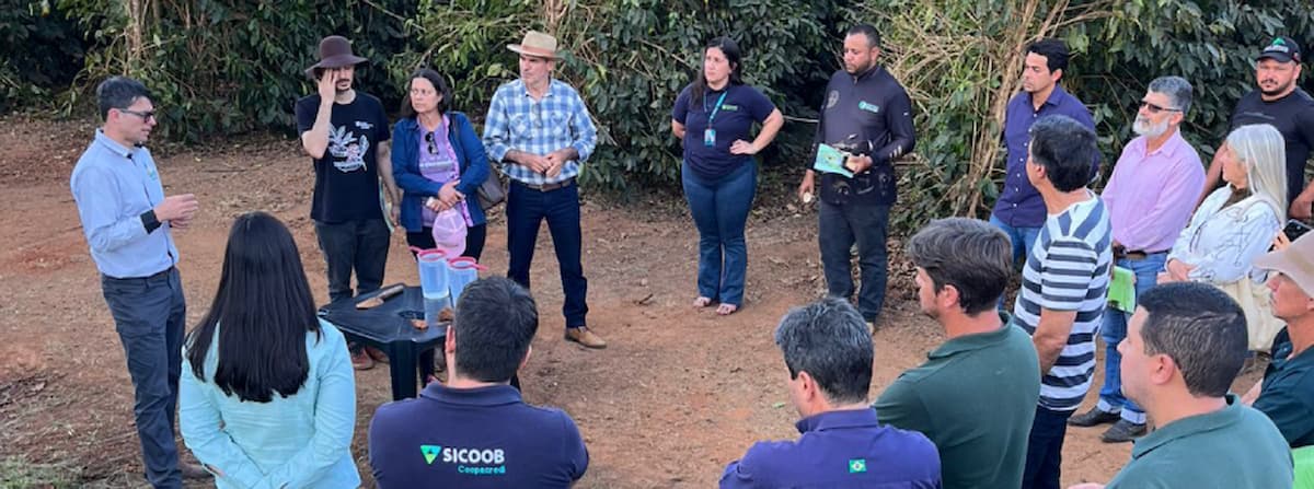 BDMG abre inscrições para capacitação gratuita em agricultura regenerativa