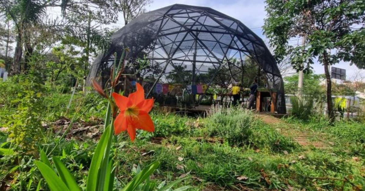 PBH oferece 200 vagas em curso gratuito de agroecologia no Mercado da Lagoinha