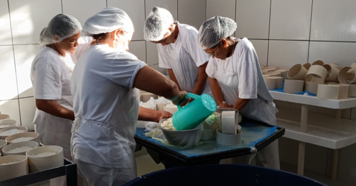 Instituto Mineiro de Agropecuária orienta sobre legalização de alimentos de origem animal 