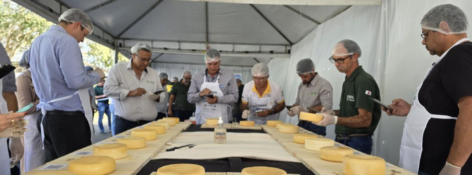 Conheça os vencedores do 21° Concurso Regional do Queijo Minas Artesanal da Canastra