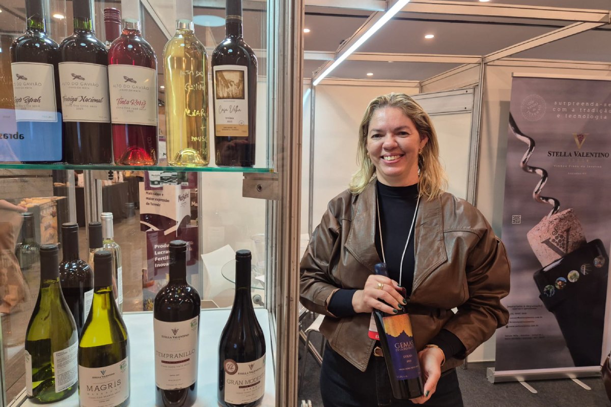 Wine Expo BH: vinho mineiro conquista espaço e vira negócio promissor com apoio do enoturismo e eventos