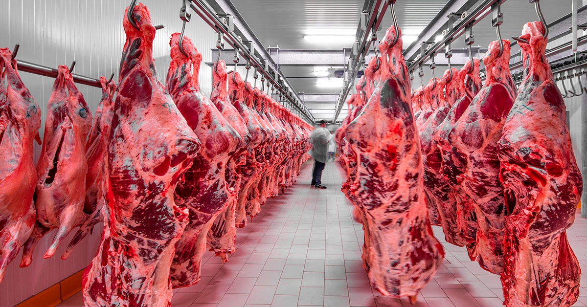México supera EUA como 2º destino da carne bovina do Brasil