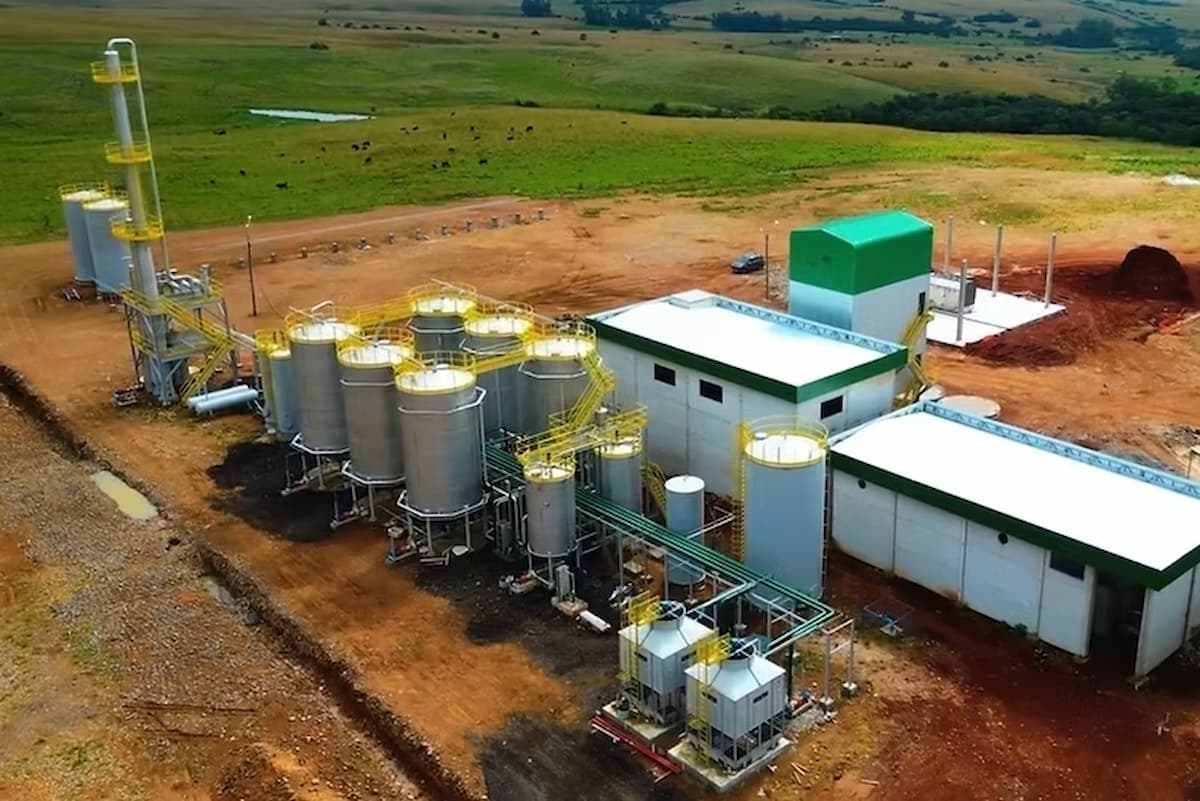 Primeira usina de etanol de trigo é inaugurada