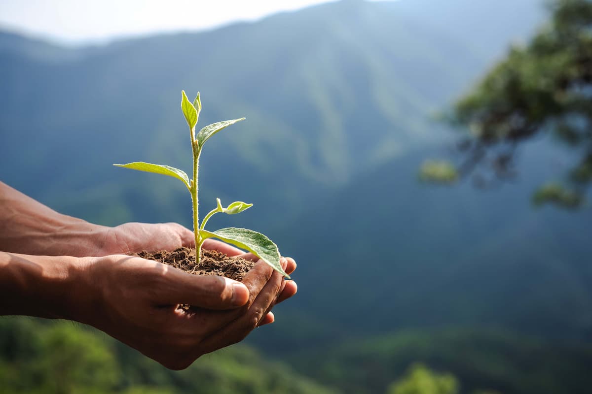 Coca-Cola e FDC abrem inscrições para curso gratuito de meio ambiente e sustentabilidade em Minas