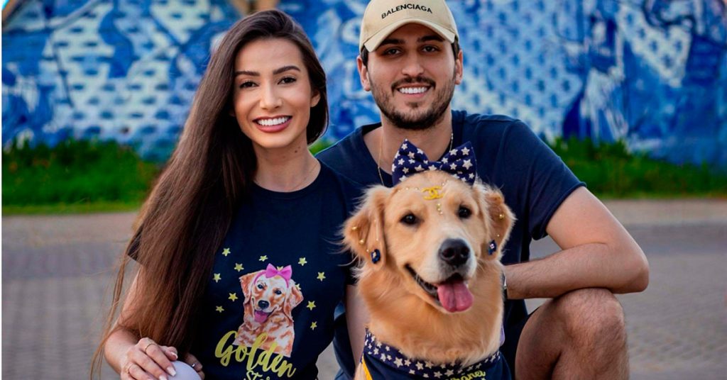 encontro de cães da raça golden retriever