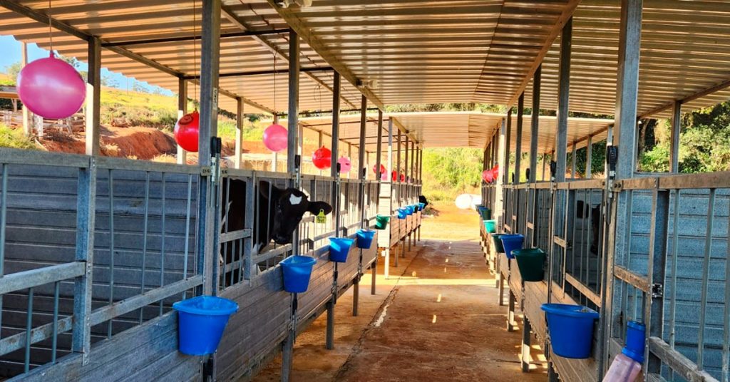 Fazenda Batatal