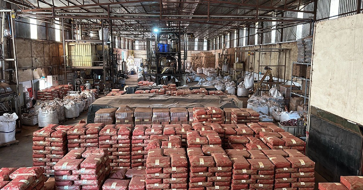 Fralía anuncia expansão e promete triplicar produção de cacau em Minas até 2026