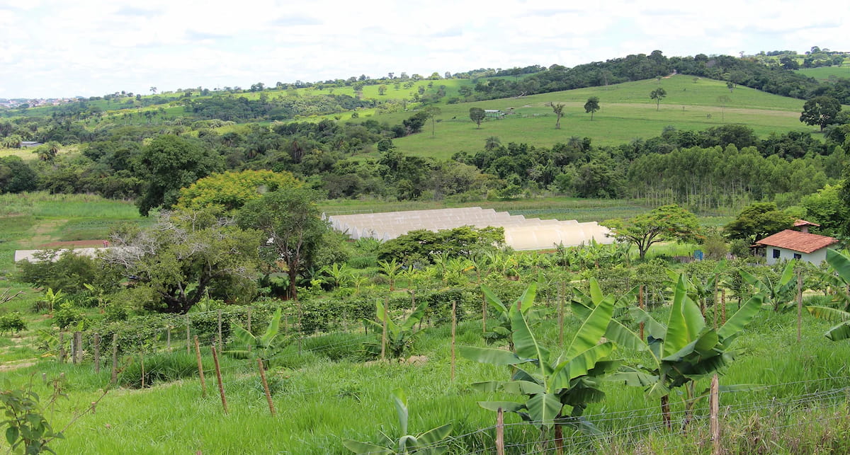 ITR: veja dicas para evitar ‘malha fina’ do imposto de propriedade rural