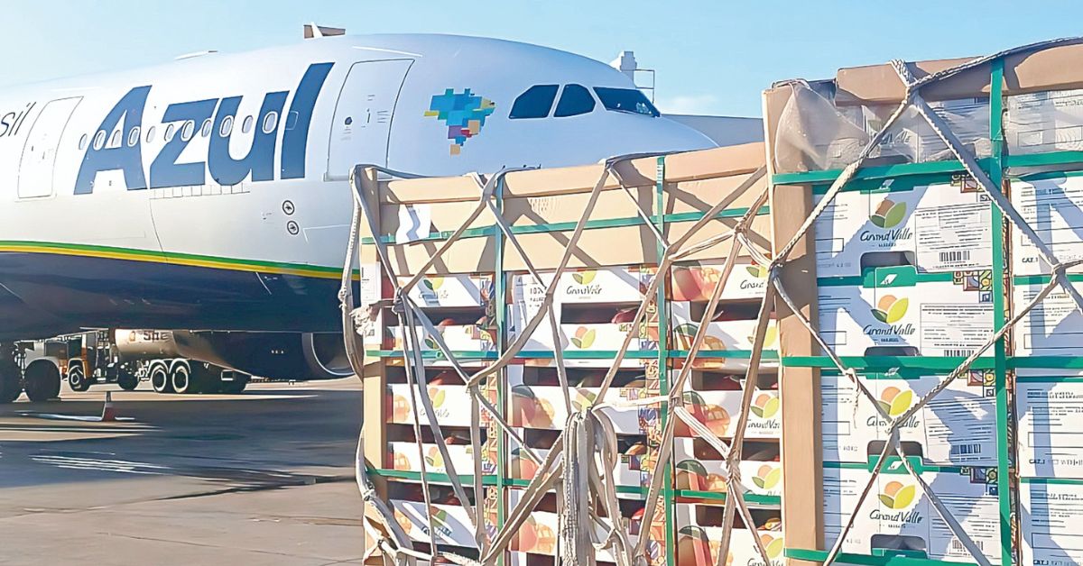 Transporte de morangos pela Azul Cargo Express movimenta 86 toneladas no semestre