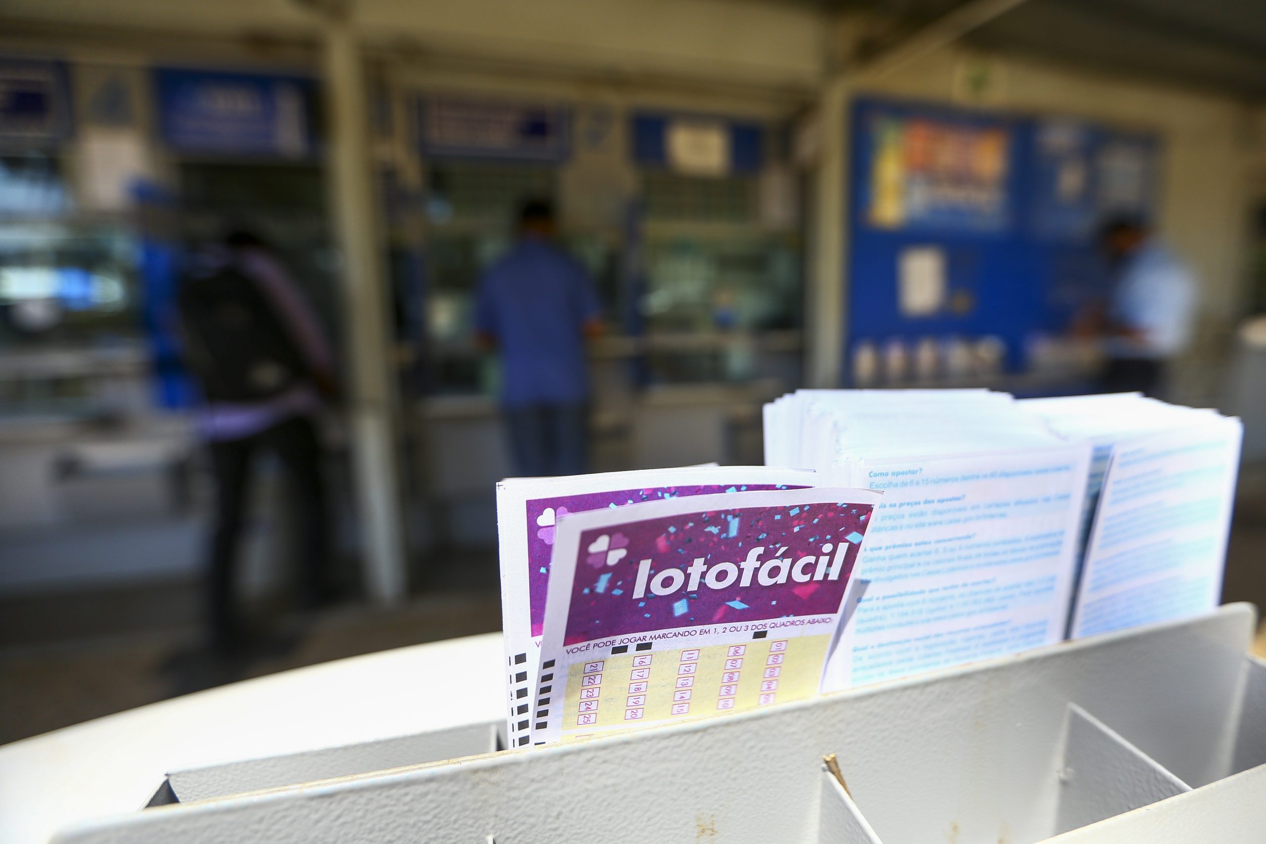 Quanto rende o prêmio de R$ 220 milhões da Lotofácil da Independência? Compare com o CDB, LCI e Tesouro Selic
