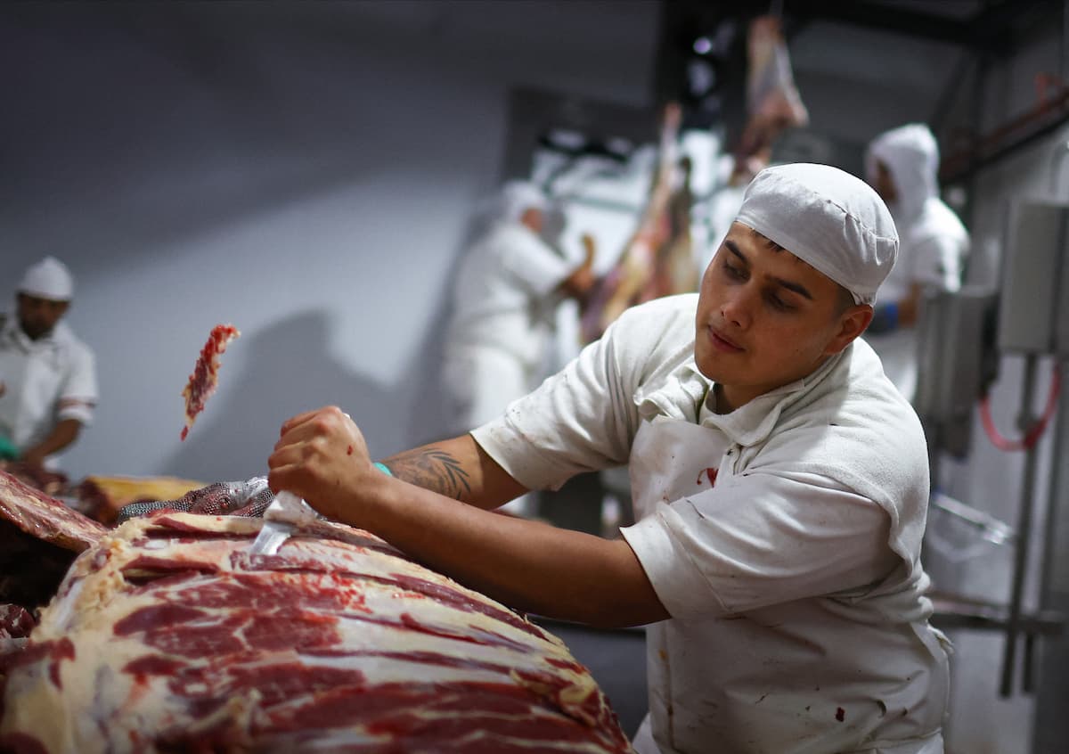 Setor de carne bovina do Brasil realoca embarques e crescerá até 14% apesar de tarifas, diz Abiec