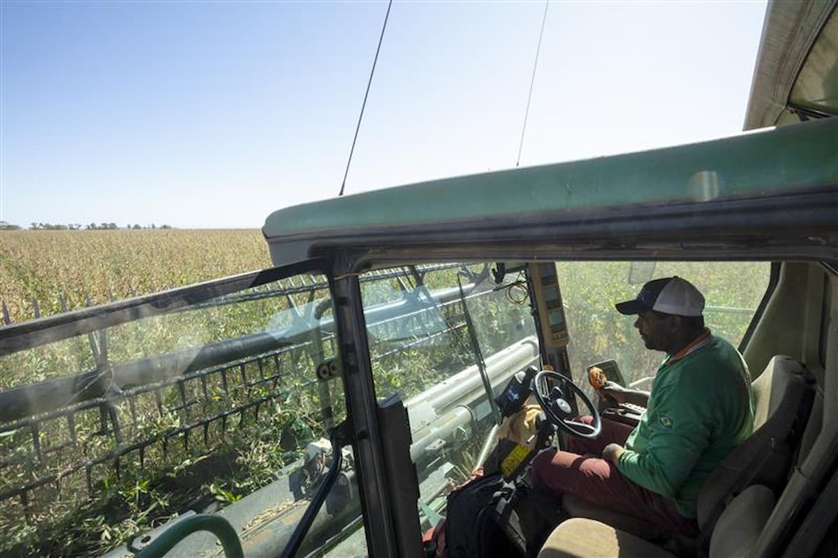 Crédito do BDMG para investir em agricultura sustentável dá direito a mentoria gratuita