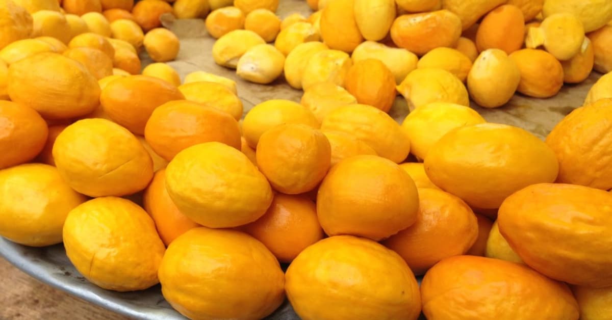 Produtos do agro mineiro marcam presença na maior feira de alimentos e bebidas da América do Sul