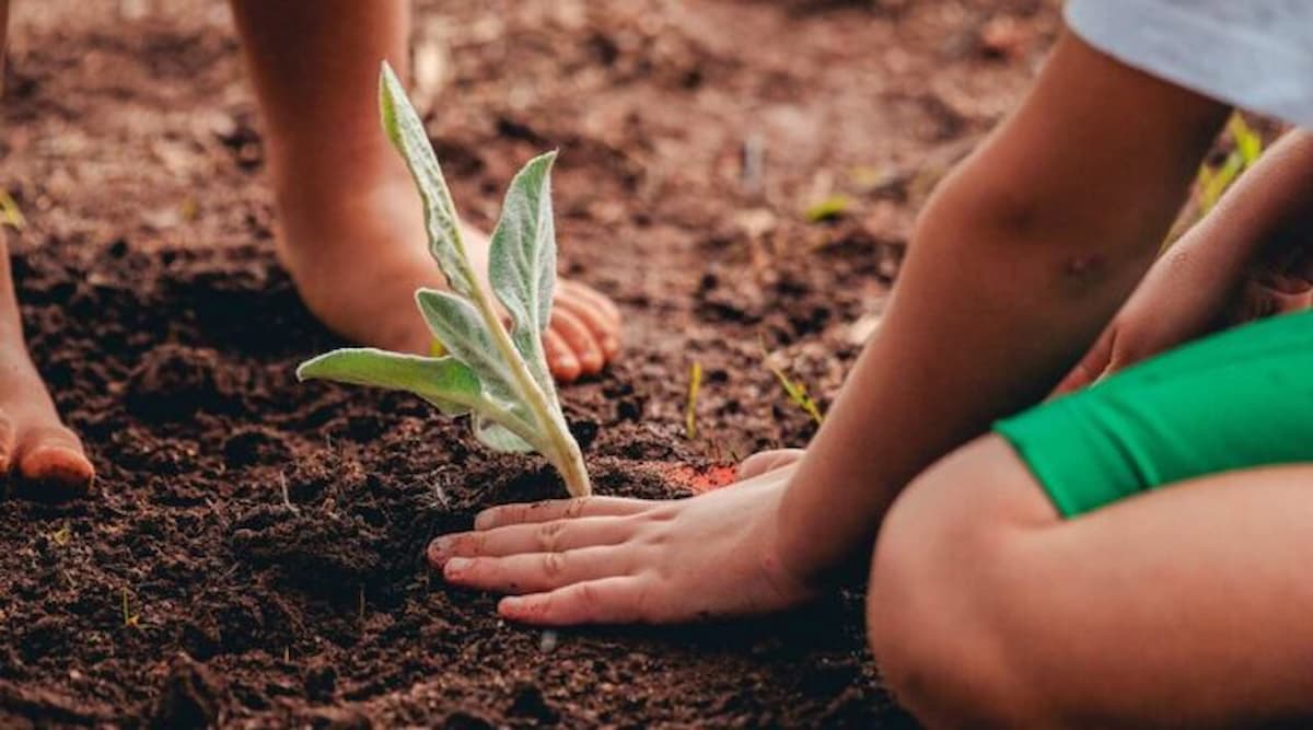 ESG é destaque no 1º Prêmio Internacional Brasil–Portugal de Sustentabilidade 2025 em BH