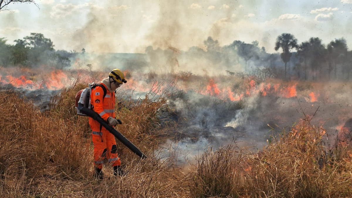 Com mais de R$ 20 mi, Minas reduz focos de incêndio em até 57% nas Unidades de Conservação