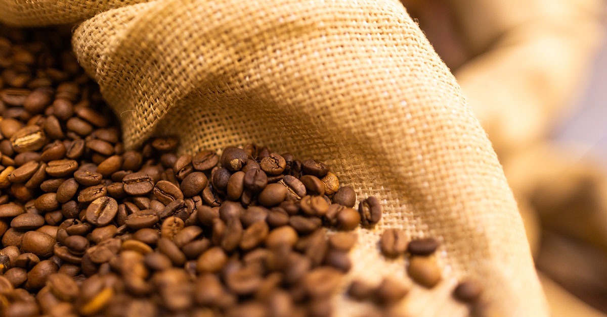 Exportação de café verde do Brasil cai 17,5% em agosto