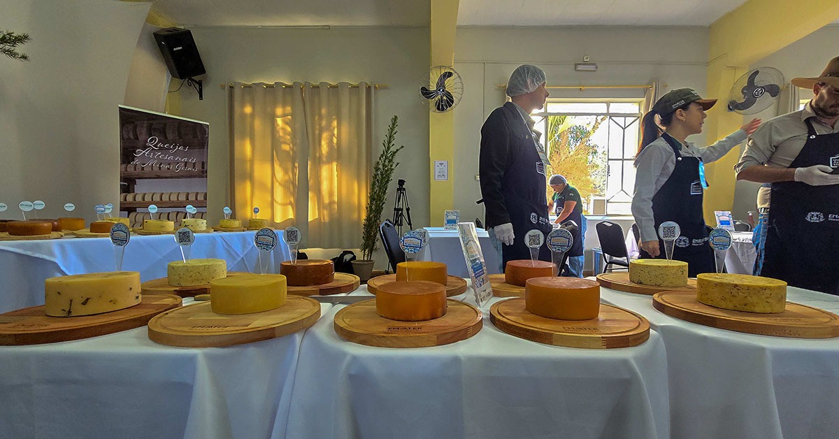 18º Concurso Estadual dos Queijos Artesanais de Minas Gerais acontece neste sábado (13)