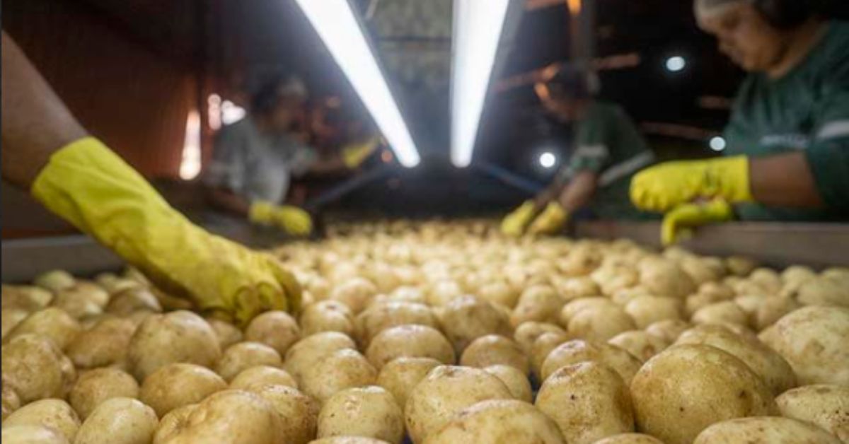 McCain avalia expansão da fábrica de batatas pré-fritas em Araxá, no Alto Paranaíba