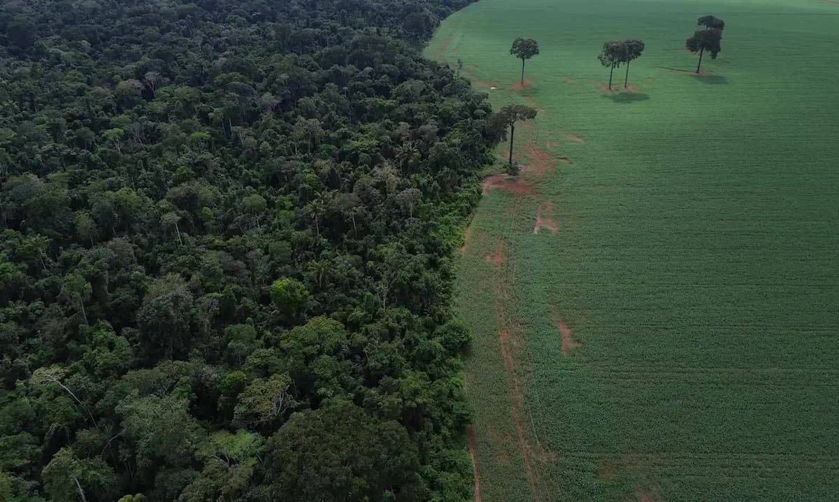Minas lança aplicativo para acompanhar processo de licenciamento ambiental em tempo real