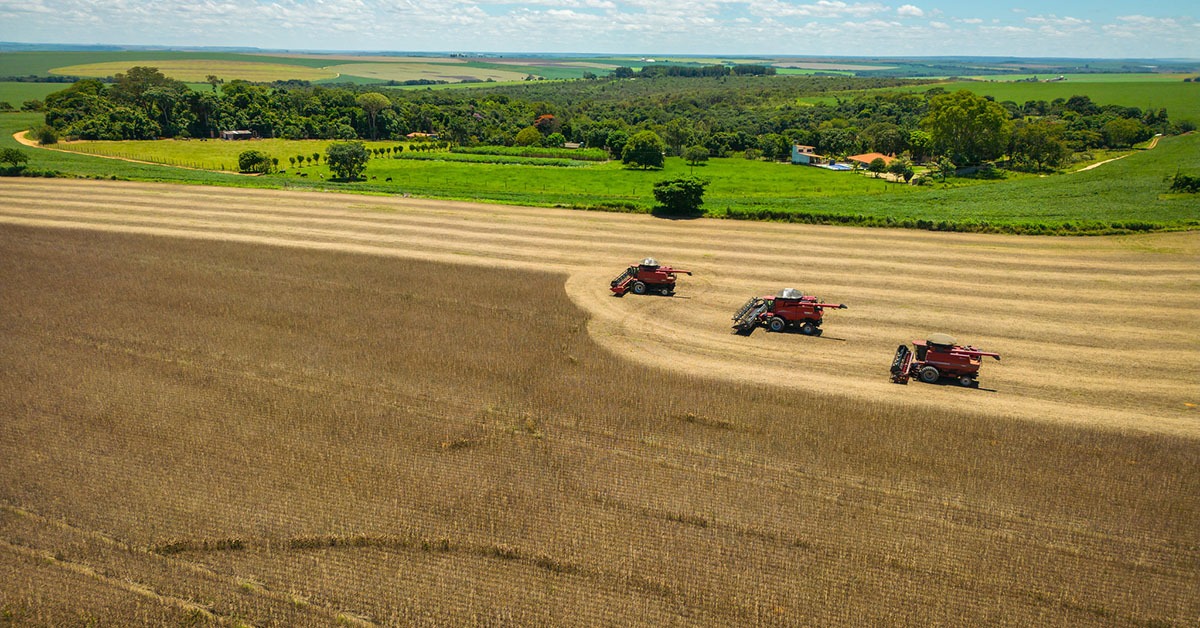 Desembolsos do crédito rural caem no primeiro mês da safra 2025/26