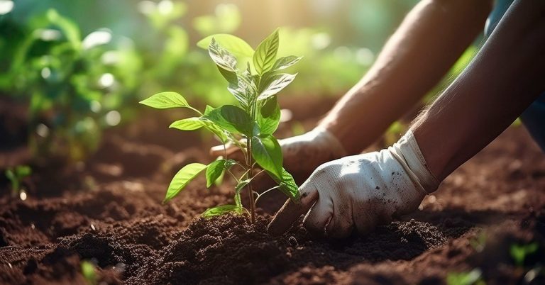 Crédito verde impulsiona transição agrícola em Minas Gerais