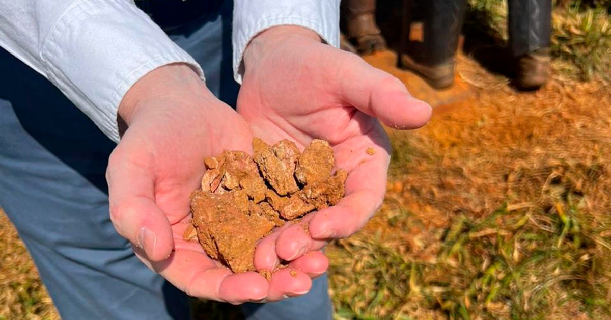 Sondagens indicam aumento do potencial do projeto de terras-raras e nióbio da St George em Araxá