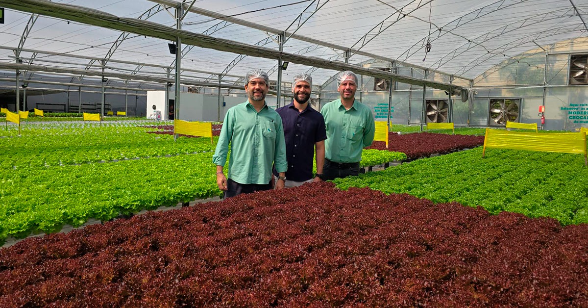 Vale e BeGreen firmam parceria para produção de hortaliças em Nova Lima