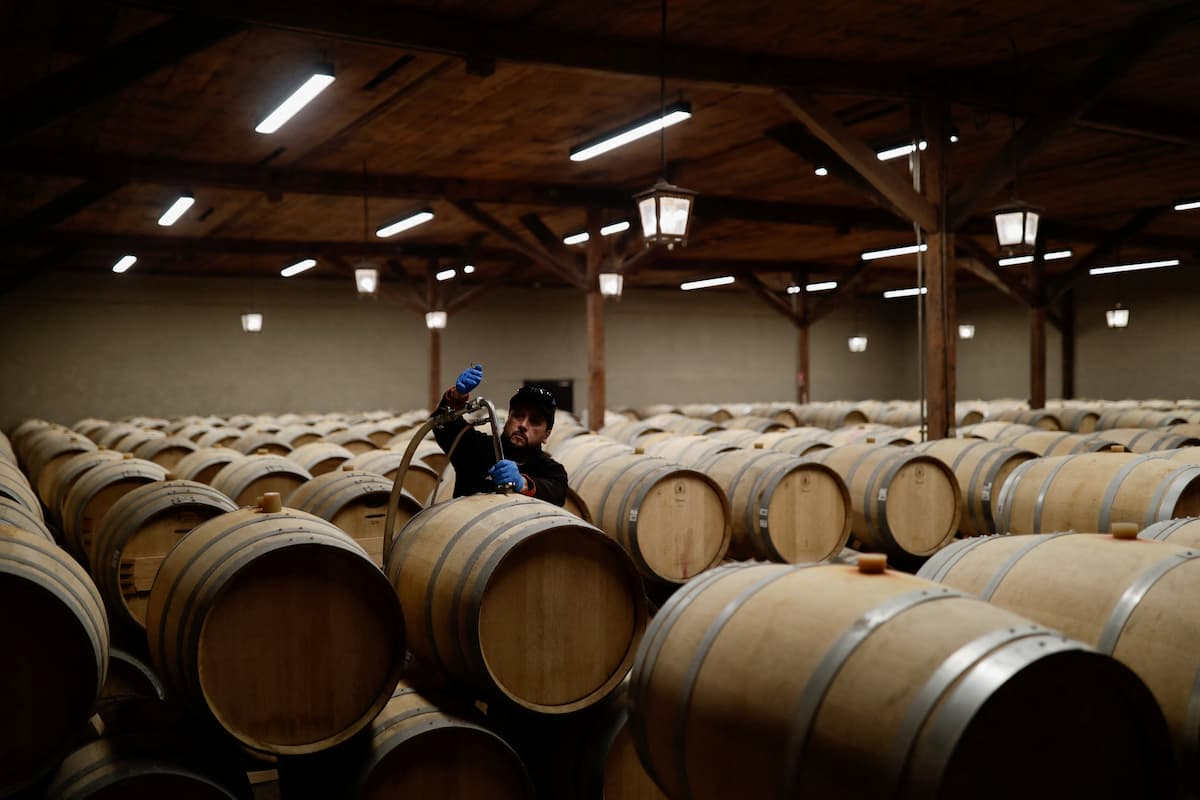 Vendas de vinhos chilenos para o Brasil crescem em meio à queda de demanda dos EUA