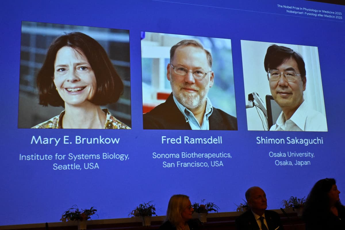 Brunkow, Ramsdell e Sakaguchi ganham Prêmio Nobel de Medicina por descobertas na área de imunologia