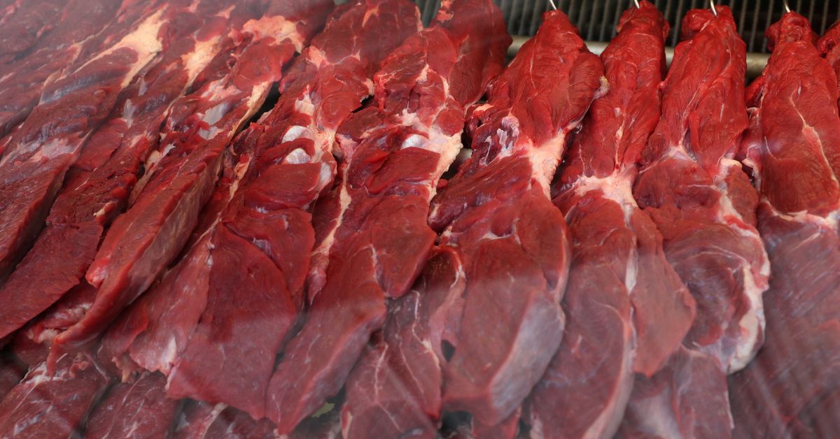Indústria de carne bovina do Brasil vê solução sobre tarifas dos EUA em até 60 dias