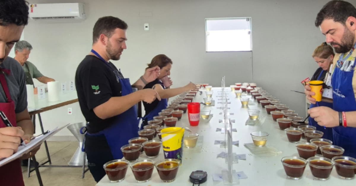 Emater-MG divulga classificados do 22º Concurso de Qualidade dos Cafés de Minas