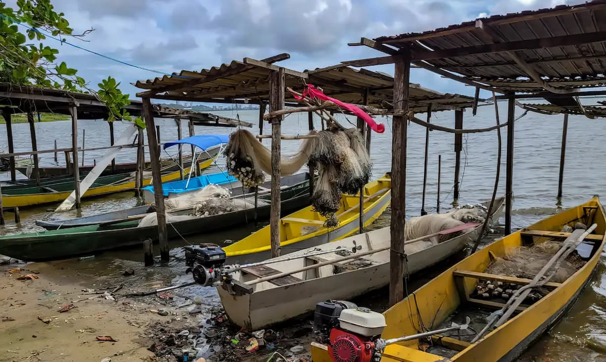 Início do defeso da piracema restringe pesca comercial no País