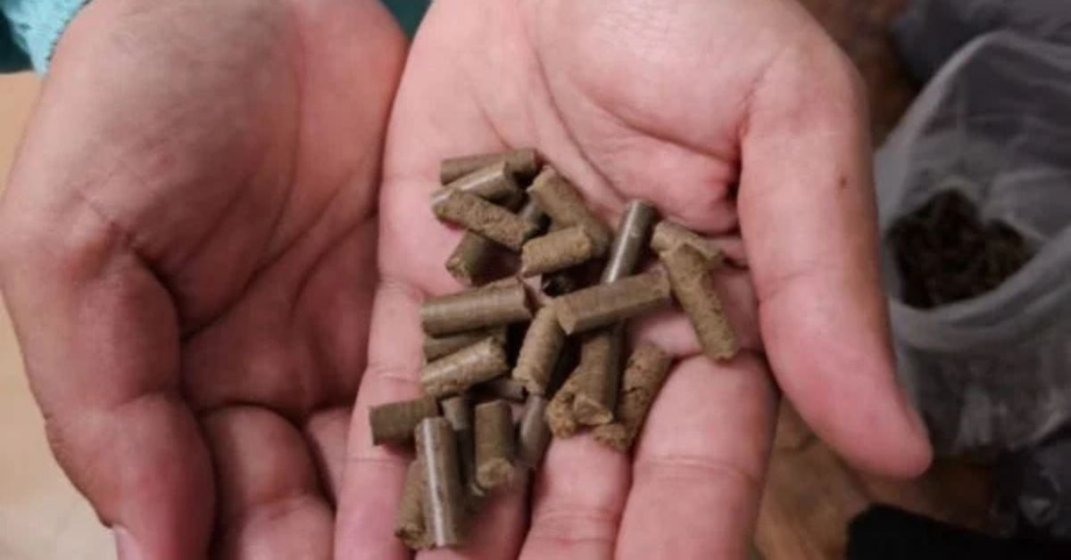 Universidade Federal de Lavras transforma resíduos agroflorestais em energia limpa