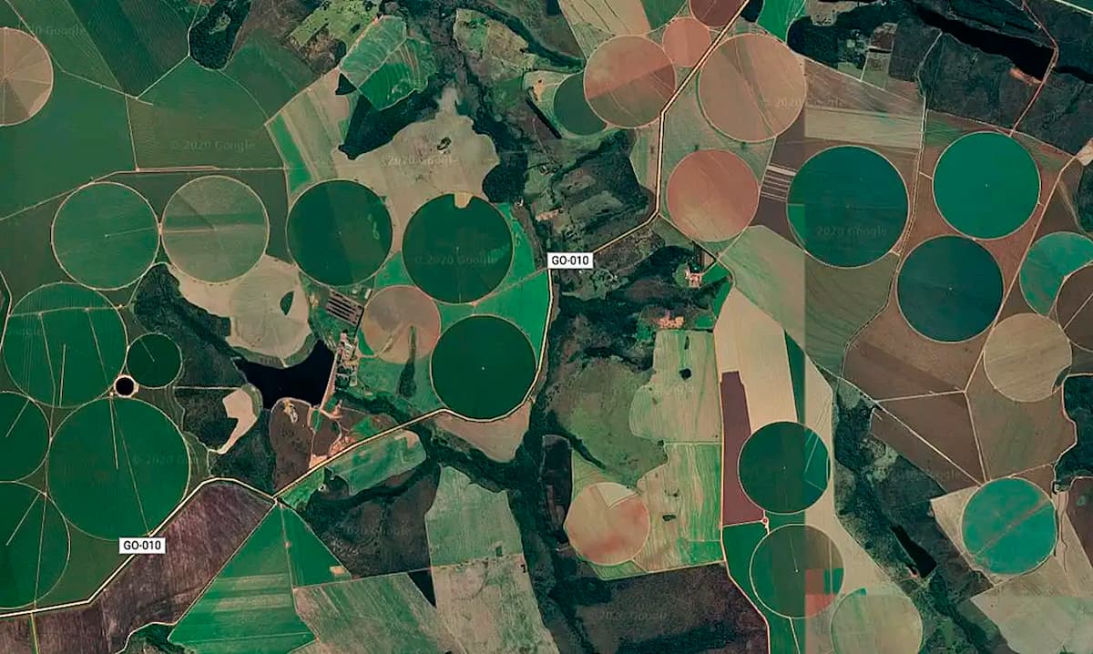 Cerrado brasileiro perdeu 28% da vegetação nativa em 40 anos